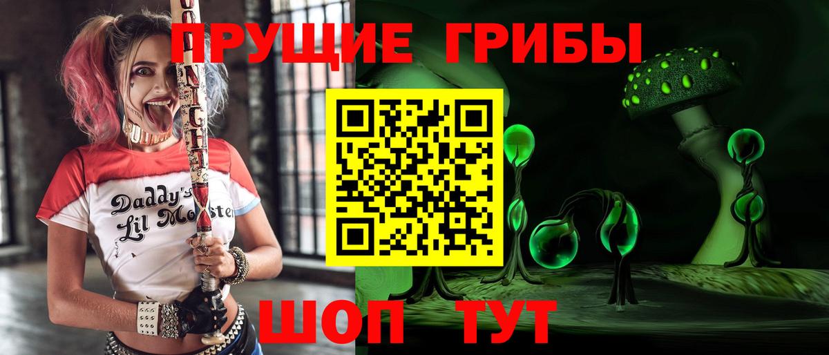 Псилоцибиновые грибы Cubensis  Вход с VPN  Улан-Удэ  Галлюциногенные грибы Psilocybine cubensis 